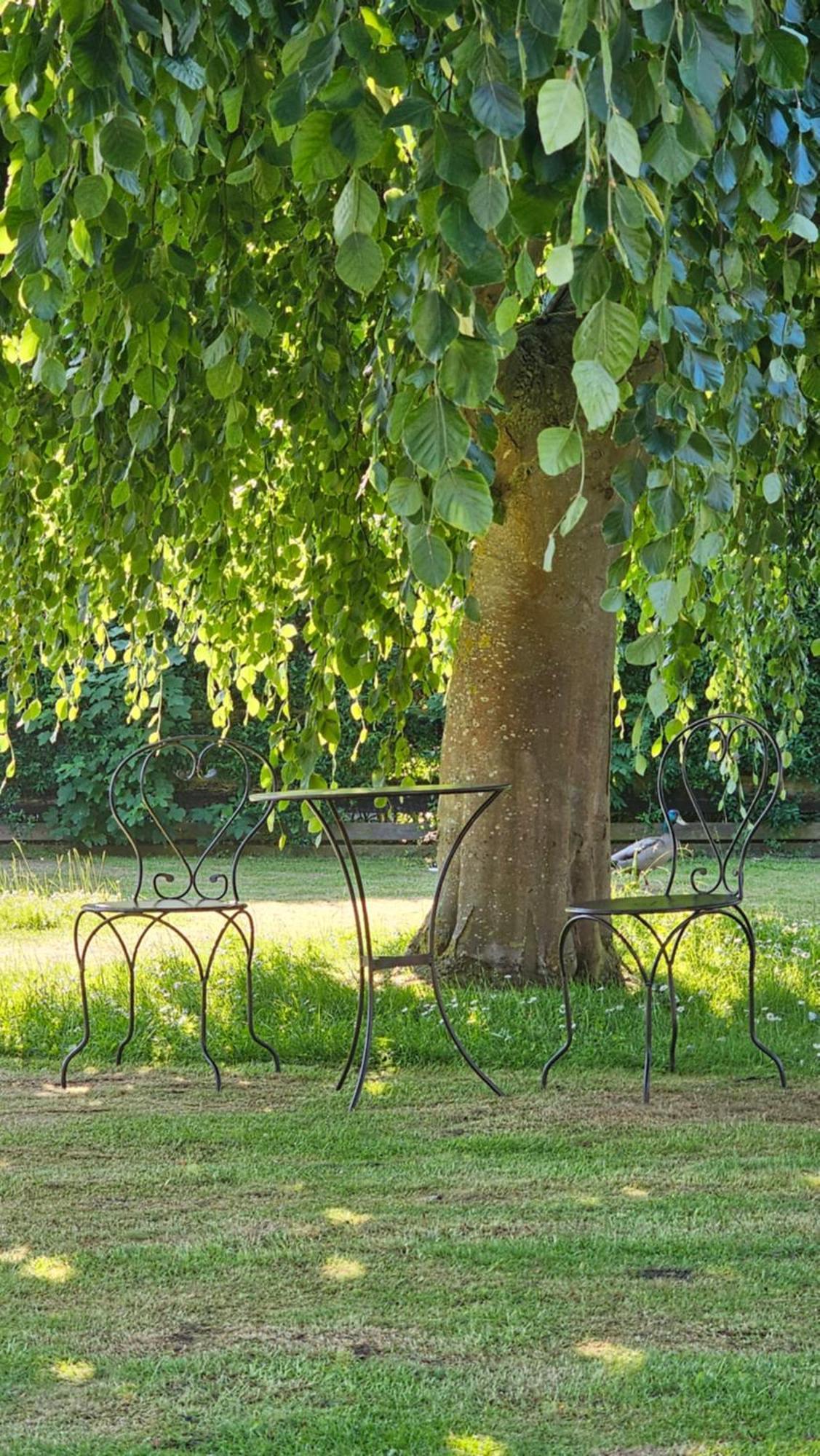 Surforama Studio Apartment Mit Meerblick Und Garten Fehmarn Eksteriør bilde